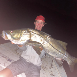 fish snook the Anna Maria way